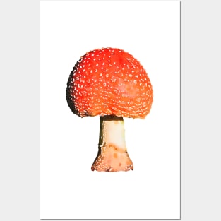 Orange Mushroom Amanita Posters and Art